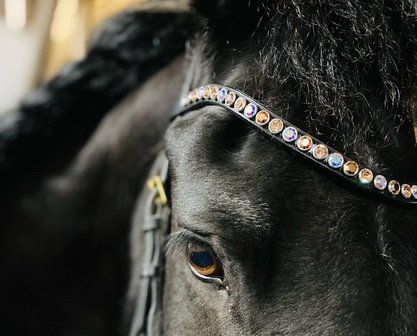 AB, Rose Gold, Vintage Rose browband - XL